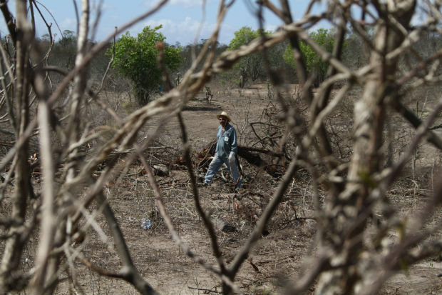  Mais da metade dos municípios da Bahia sofre com a seca prolongada