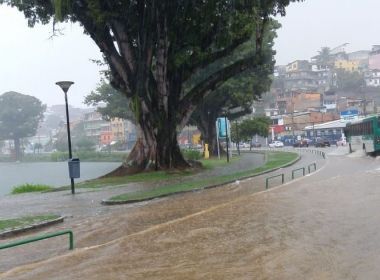  CODESAL REGISTRA 35 OCORRÊNCIAS EM SALVADOR