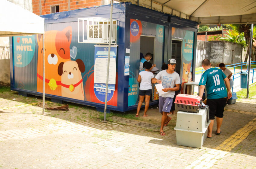  Castramóvel: Serviço itinerante desembarca no bairro do Bonfim na segunda (23)