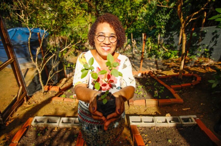  Inscrições para nova edição do Horta em Casa abrem nesta quarta-feira (9)