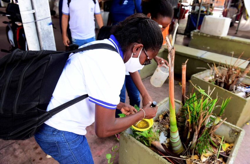  CCZ promove combate ao Aedes no Centro Histórico