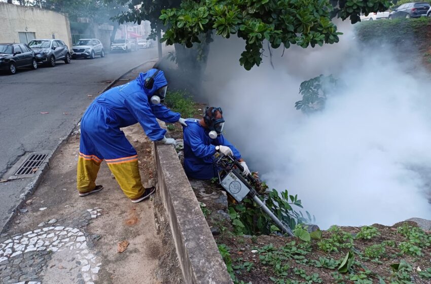  Operação Pós-Carnaval: SMS prossegue ações contra dengue nos circuitos da folia nesta segunda (19)