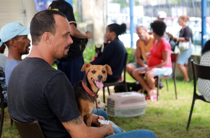  Castramóvel em Pirajá realiza castrações de cães e gatos até 2 de maio