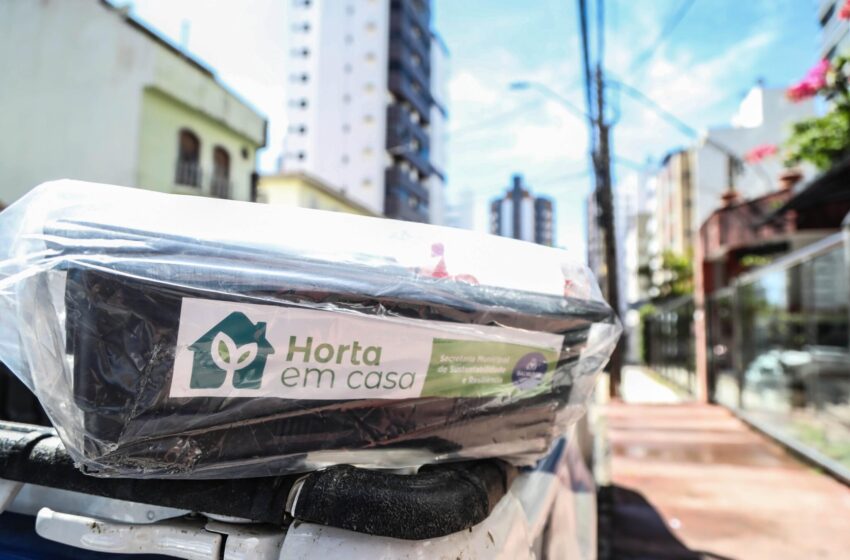  Secis abre novas inscrições para o Horta em Casa