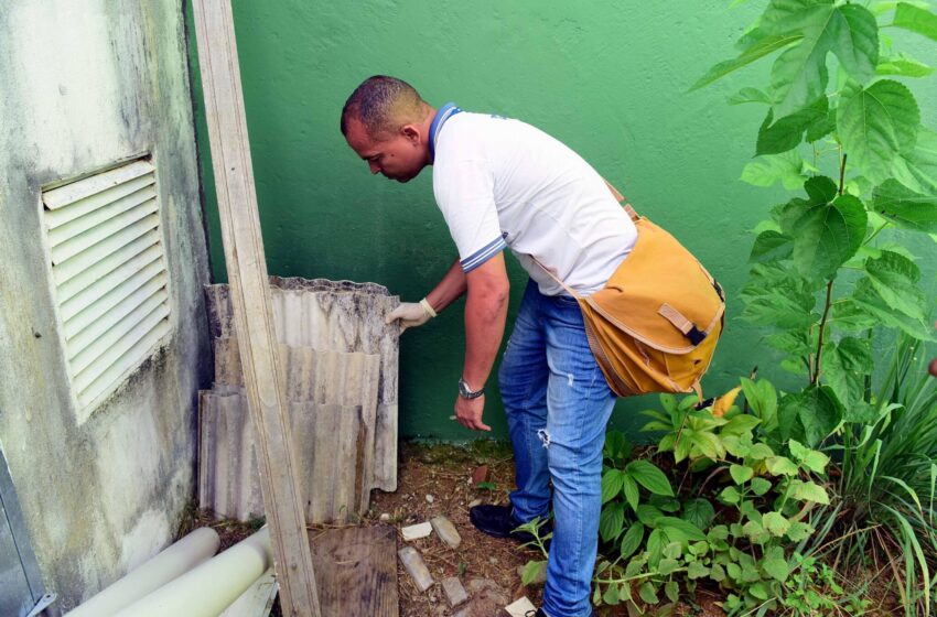  Salvador Contra a Dengue: combate ao Aedes segue em todos os Distritos Sanitários da cidade