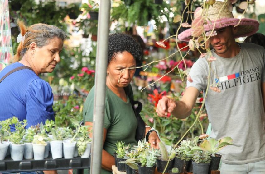  Parque da Cidade recebe 5ª edição do Circuito de Feiras Agroecológicas de Salvador neste sábado (8)