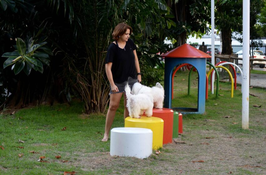  Salvador amplia espaços de lazer exclusivos para pets em praças da cidade