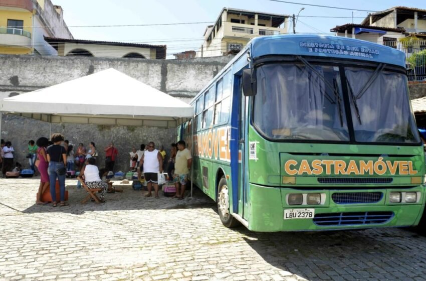  Castramóvel inicia castrações gratuitas para cães e gatos em Plataforma, nesta segunda (17)