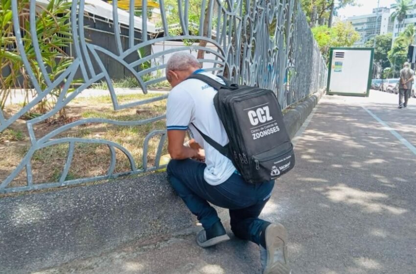  CCZ reforça ações de combate ao Aedes aegypti durante campanha nacional