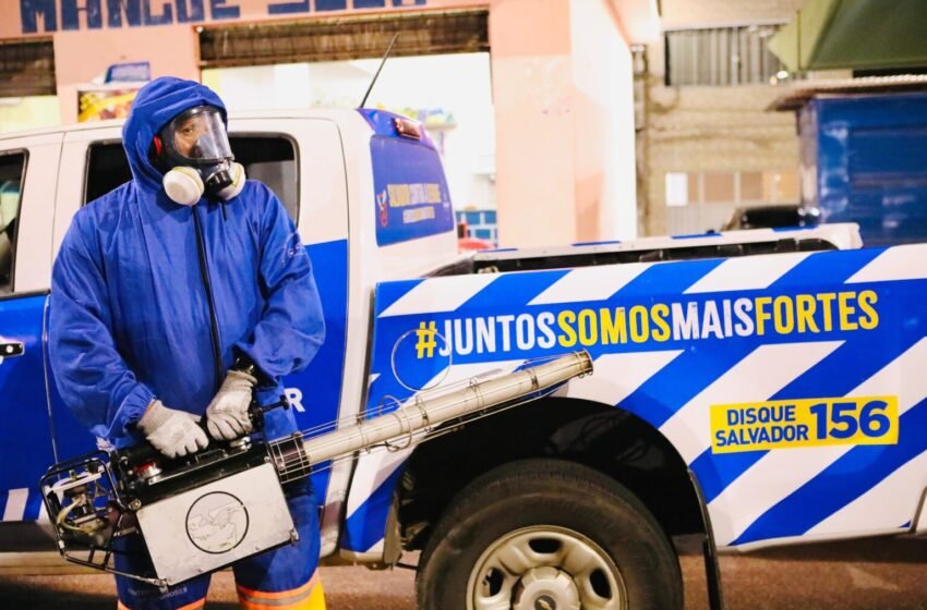  Prefeitura intensifica ações de combate ao Aedes aegypti em Salvador a partir desta segunda (8)