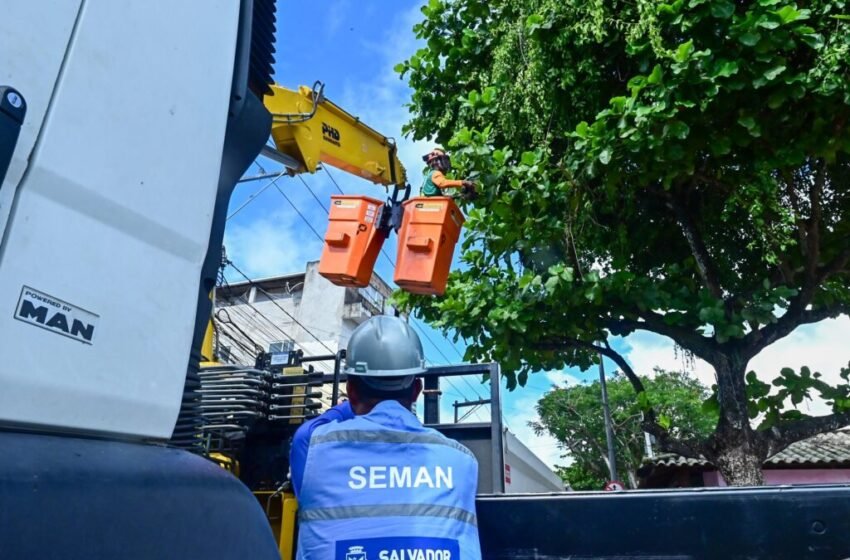  Poda preventiva contribui para reduzir acidentes e conservar arborização urbana; saiba como solicitar serviço
