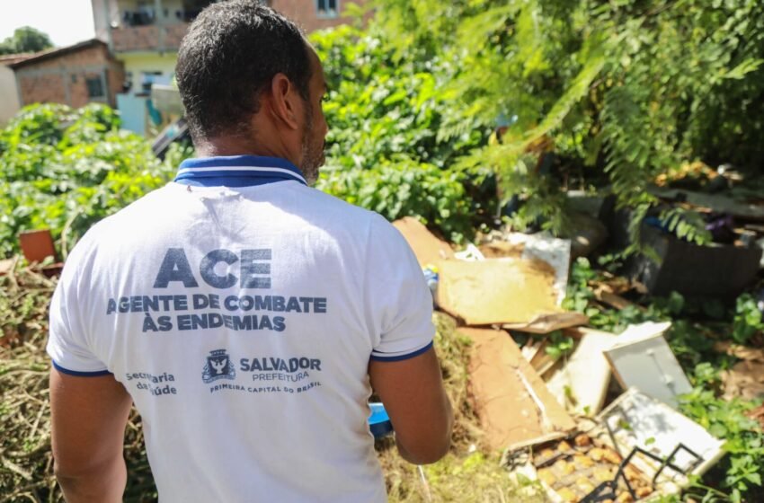  Prefeitura intensifica ações de combate ao mosquito da dengue em Salvador