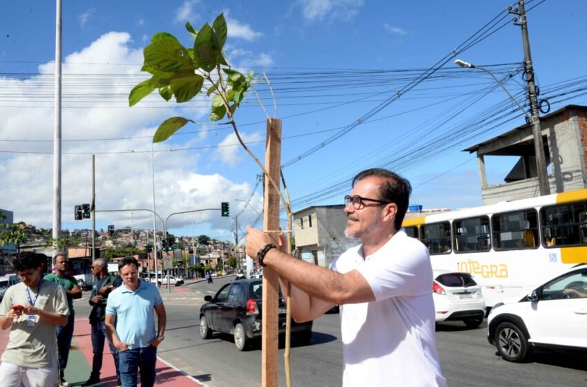  Avenida Suburbana recebe plantio de mais de 20 mudas após vandalismo