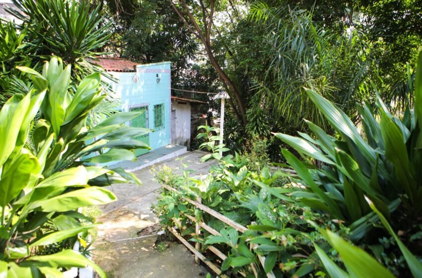  Programa Baobá mantém cadastro aberto para terreiros de matriz africana em Salvador